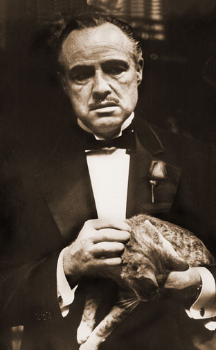 1972 (45th) Best Actor: Marlon Brando 1972 (45th) Best Actor: Marlon Brando